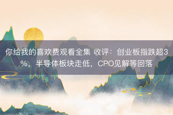 你给我的喜欢费观看全集 收评：创业板指跌超3%，半导体板块走低，CPO见解等回落