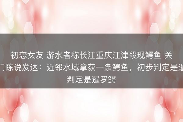 初恋女友 游水者称长江重庆江津段现鳄鱼 关联部门陈说发达：近邻水域拿获一条鳄鱼，初步判定是暹罗鳄