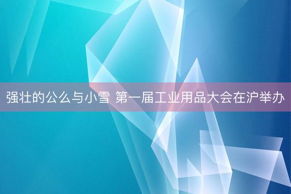 强壮的公么与小雪 第一届工业用品大会在沪举办