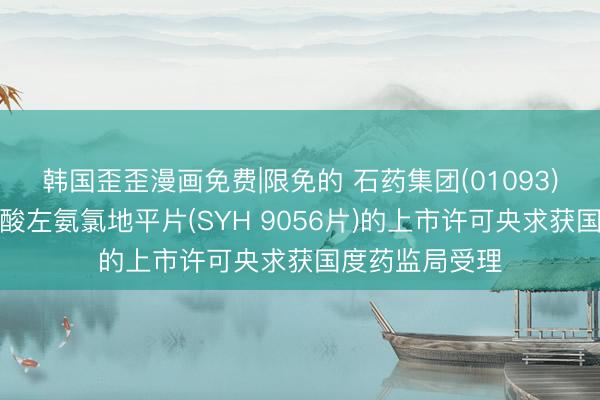 韩国歪歪漫画免费|限免的 石药集团(01093)：缬沙坦马来酸左氨氯地平片(SYH 9056片)的上市许可央求获国度药监局受理