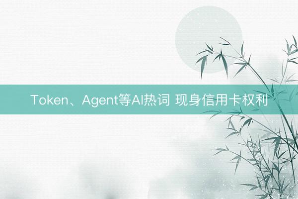 Token、Agent等AI热词 现身信用卡权利