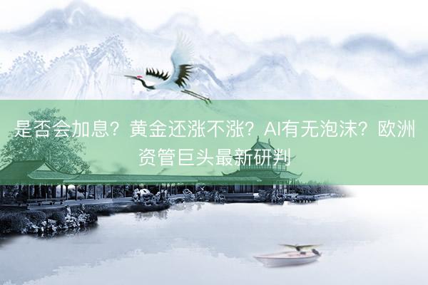 是否会加息？黄金还涨不涨？AI有无泡沫？欧洲资管巨头最新研判