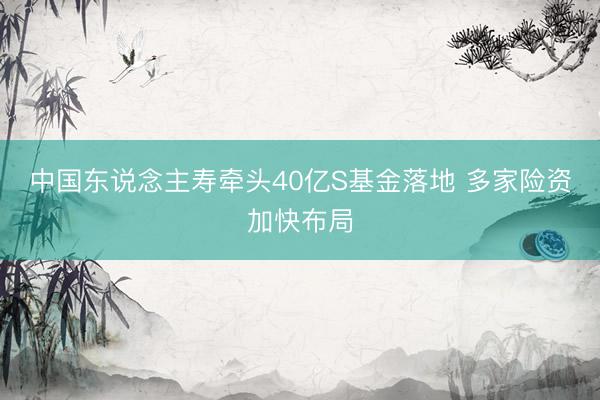 中国东说念主寿牵头40亿S基金落地 多家险资加快布局