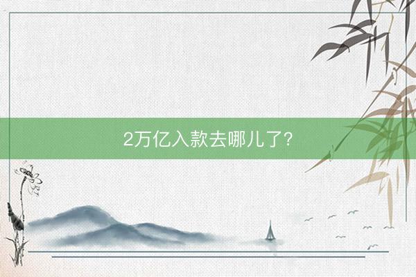 2万亿入款去哪儿了？