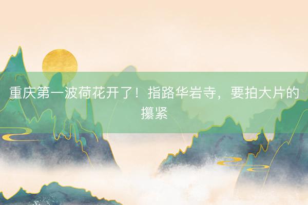 重庆第一波荷花开了！指路华岩寺，要拍大片的攥紧