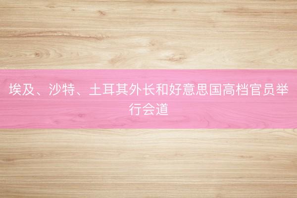 埃及、沙特、土耳其外长和好意思国高档官员举行会道
